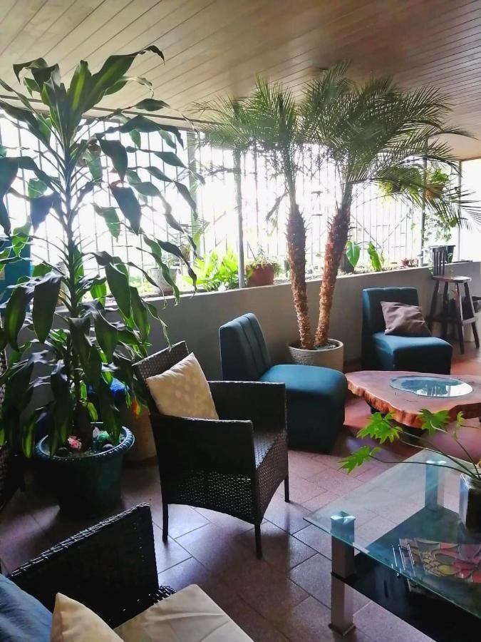 Airport Traveler's Home. Homestay *