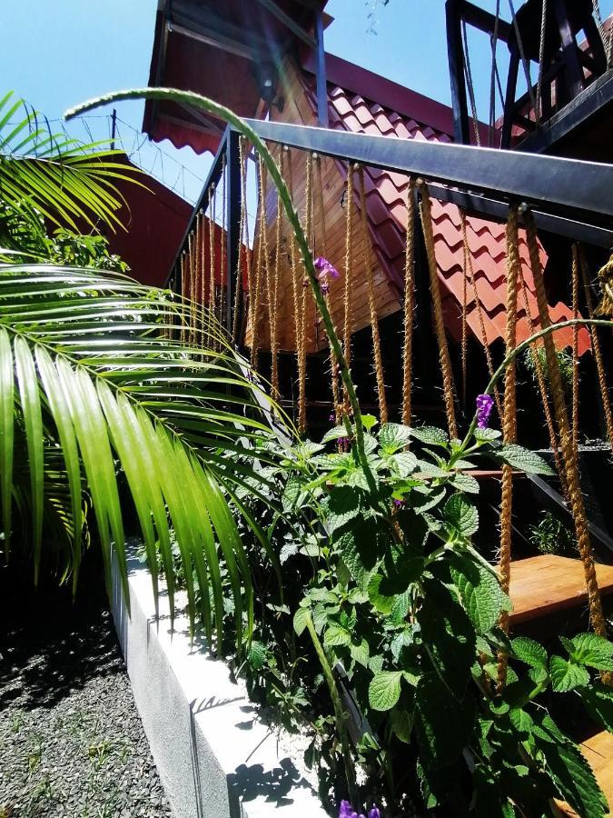 Airport Traveler's Home. * Alajuela