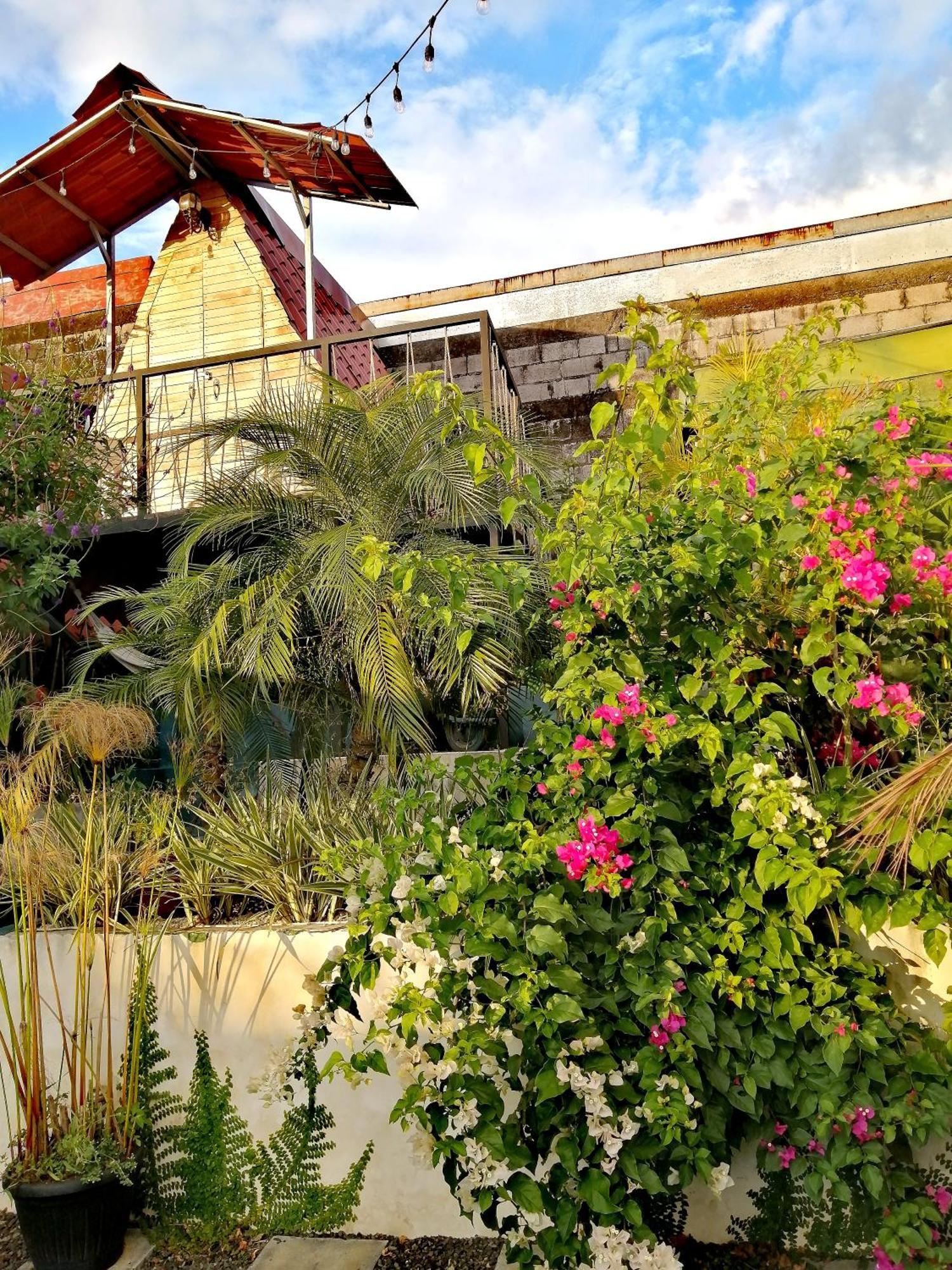 Airport Traveler's Home. Homestay Alajuela